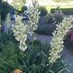 Les Grandes Voies - Cle Дом отдыха