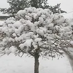 Les Grandes Voies - Cle *