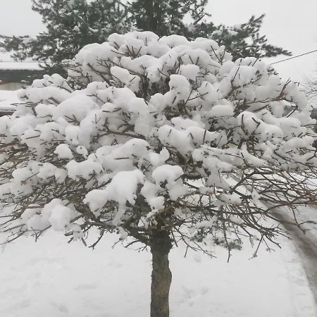 Les Grandes Voies - Clé *