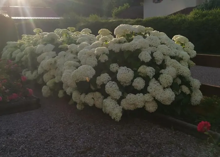 Les Grandes Voies - Clé Hébergement de vacances Le Ménil