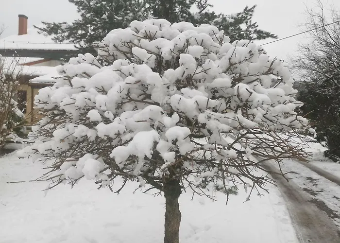 Les Grandes Voies - Clé *