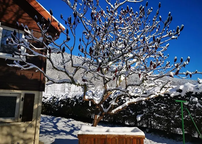 Semesterbostad Les Grandes Voies - Cle Le Ménil