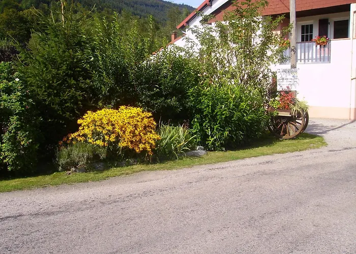 Les Grandes Voies - Clé Hébergement de vacances Le Ménil