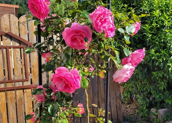 Дом отдыха Les Grandes Voies - Cle