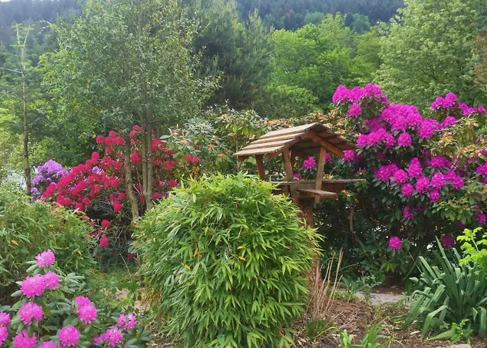 Les Grandes Voies - Clé Hébergement de vacances Le Ménil